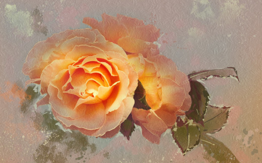 1051659 (a): :2560x1600